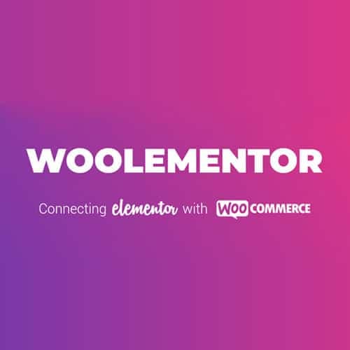 Codesigner pro (formerly woolementor pro)